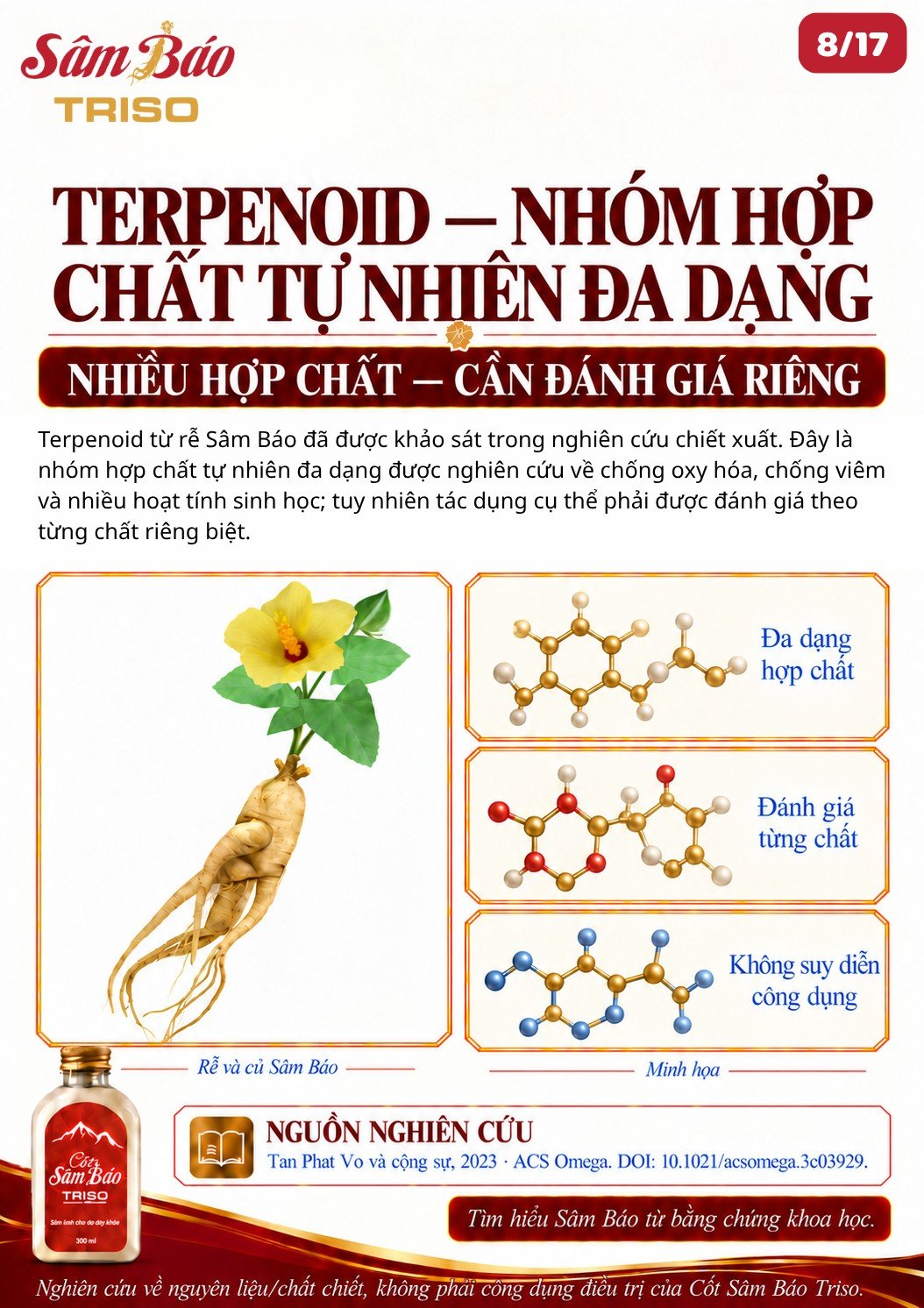 Rễ và củ Sâm Báo; minh họa cấu trúc phân tử
