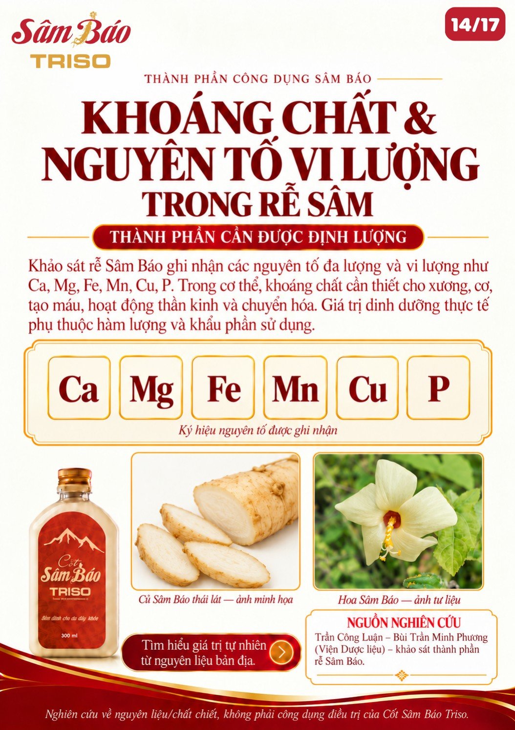 Ký hiệu nguyên tố Ca, Mg, Fe, Mn, Cu, P; củ Sâm Báo thái lát và hoa Sâm Báo