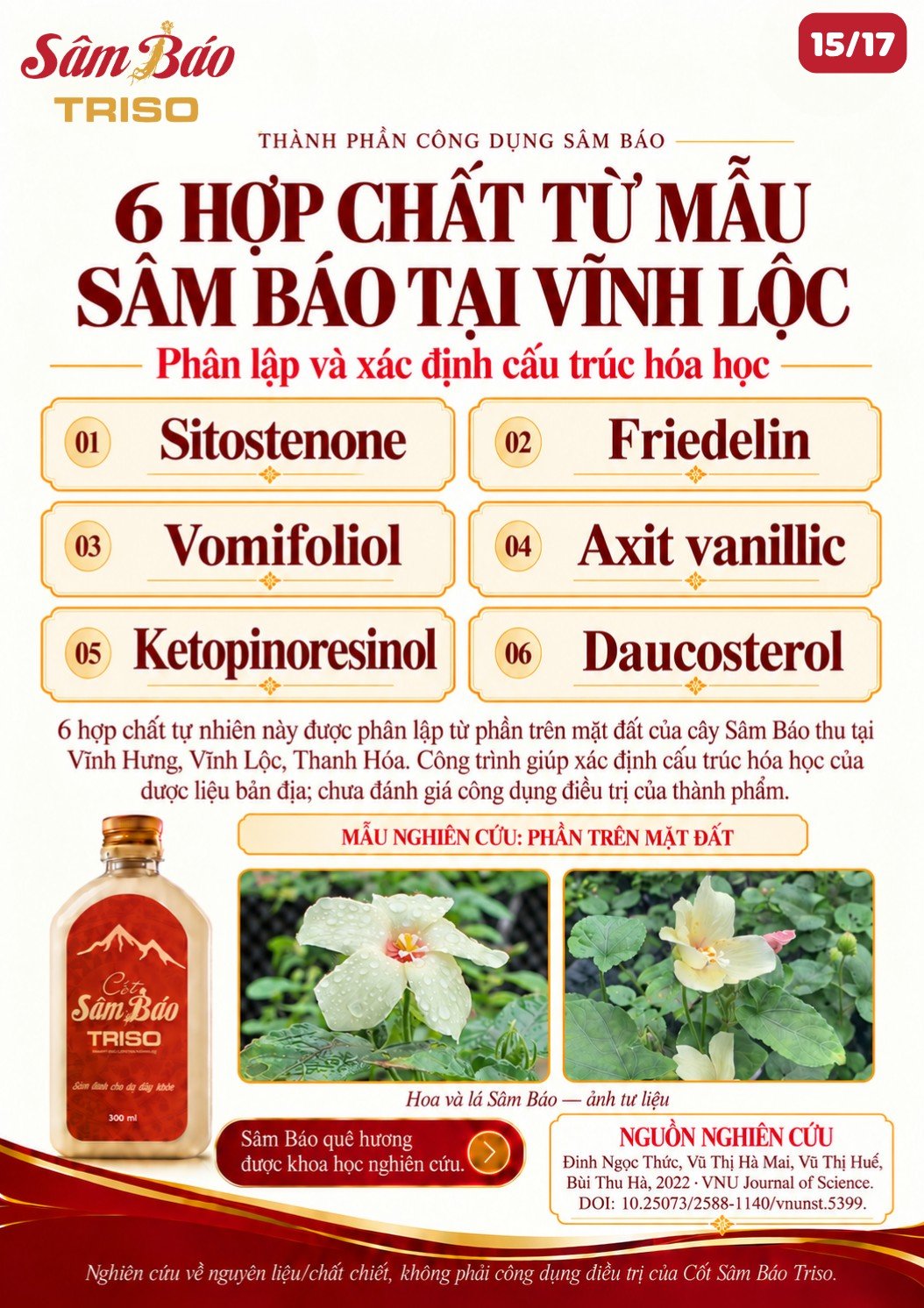 Sáu hợp chất phân lập: Sitostenone, Friedelin, Vomifoliol, Axit vanillic, Ketopinoresinol, Daucosterol; hoa và lá Sâm Báo