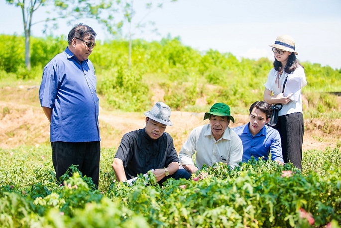 Báo Tầm nhìn đưa tin: Huyện Vĩnh Lộc (Thanh Hóa): Khôi phục và nuôi trồng thành công “Đại Việt đệ nhất danh sâm”