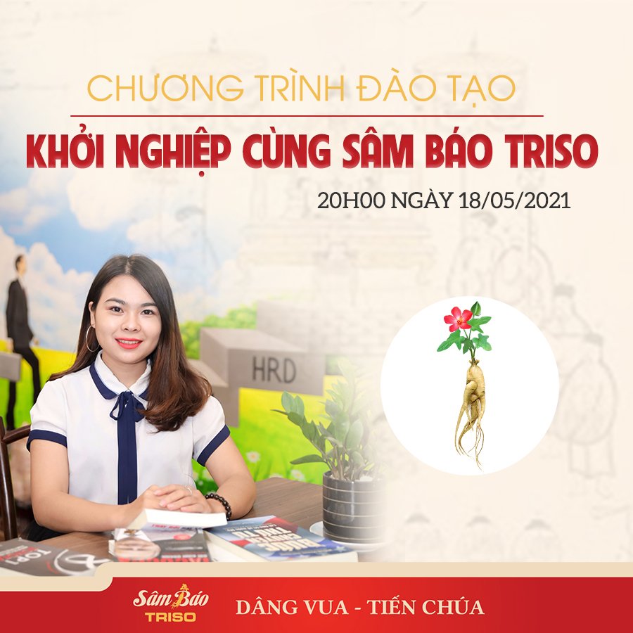 Sâm Báo Triso - "thỏi nam châm" quý giá với sức hút đặc biệt trong thị trường chăm sóc sức khỏe