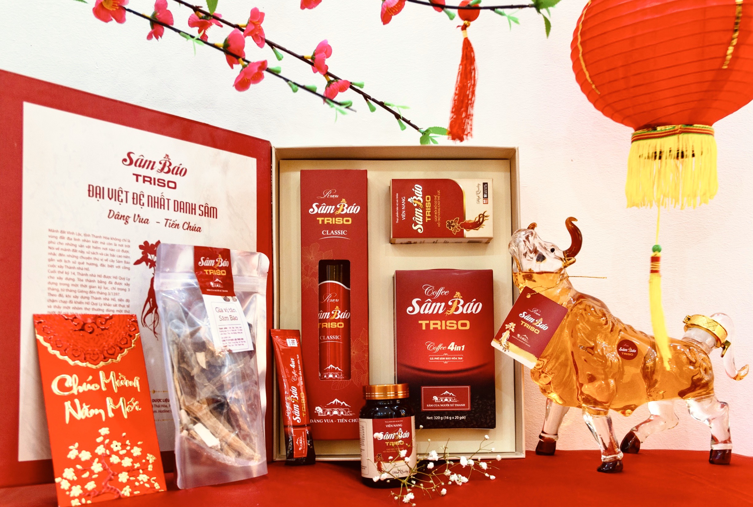 CHUYÊN GIA Y KHOA GIẢI ĐÁP: SÂM BÁO CÓ TỐT KHÔNG? CHẤT LƯỢNG SÂM NHƯ THẾ NÀO