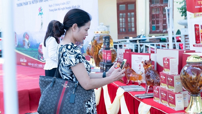 Báo Tiêu dùng đưa tin: Sâm Báo - 'dược liệu vàng' xứ Thanh