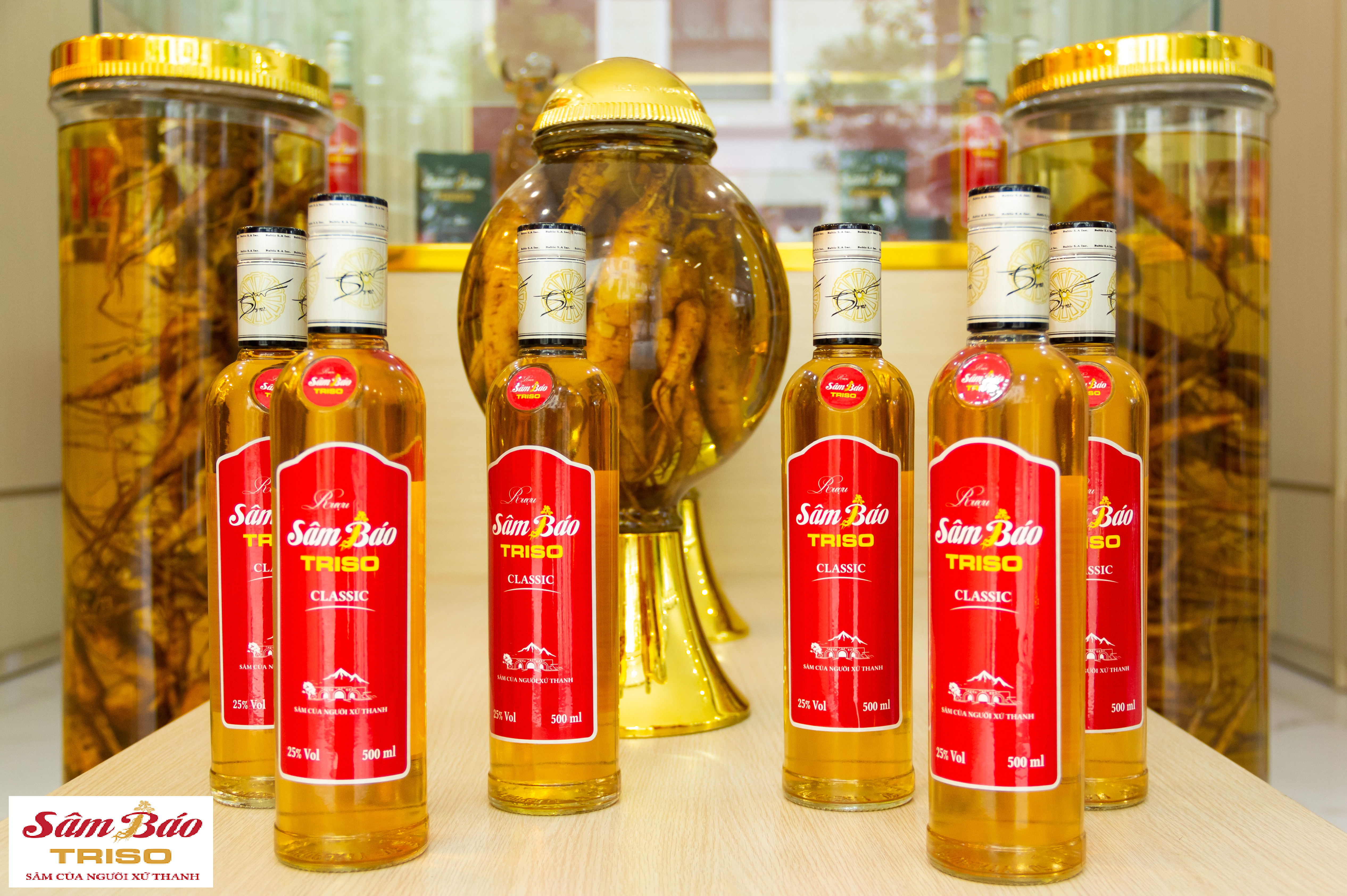 Giải đáp A-Z: Uống rượu sâm có tốt không? Mua rượu sâm ở đâu tốt và chất lượng nhất?