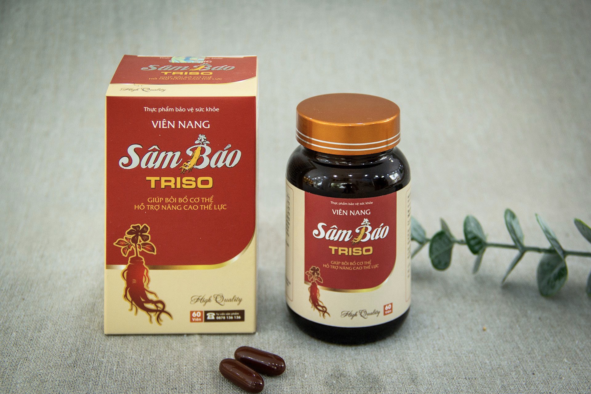 Viên nang Sâm Báo Triso - liệu pháp tăng sức đề kháng hiệu quả mùa dịch