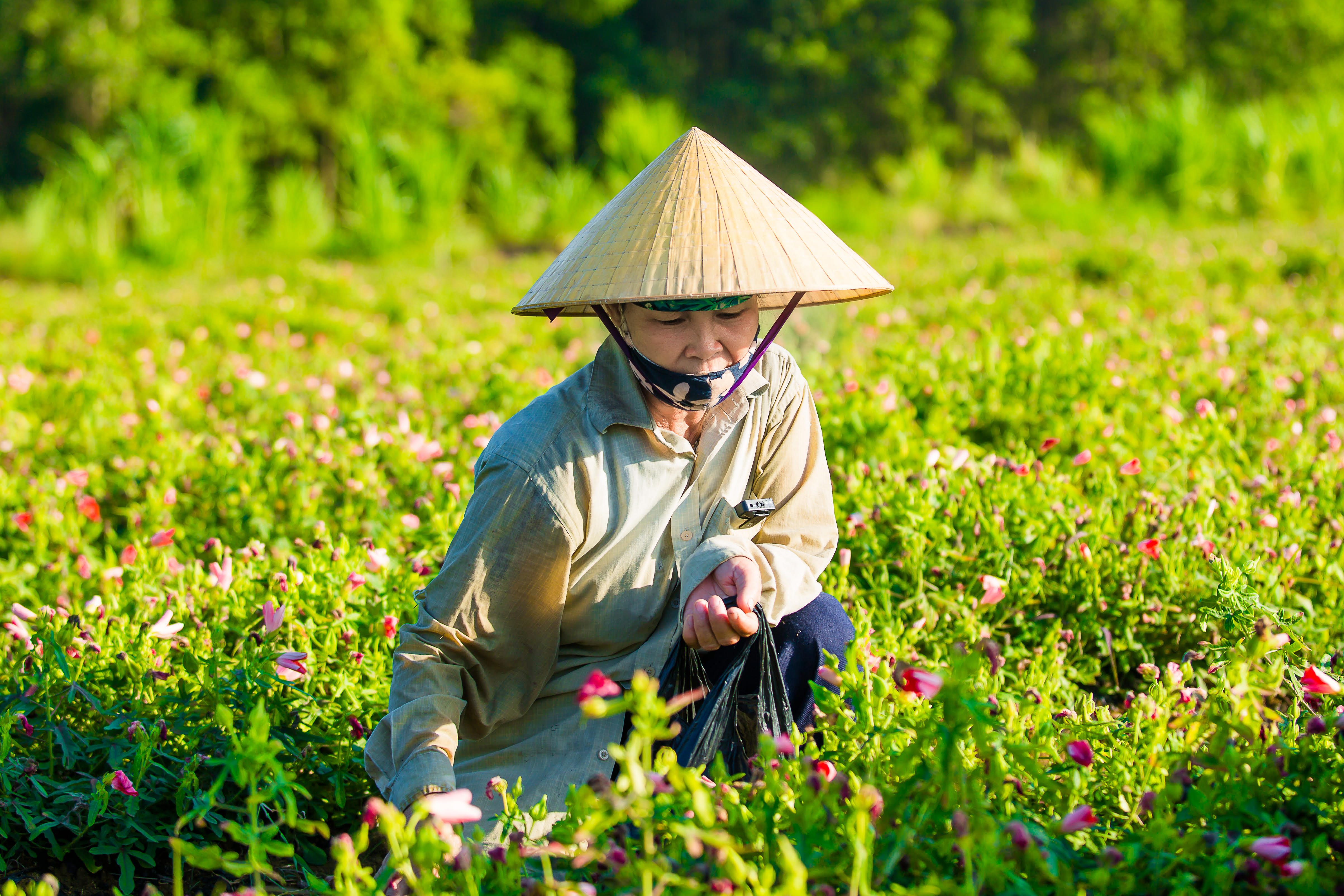 Báo Đại Đoàn Kết đưa tin: Chuyện thổ ngơi Sâm Báo