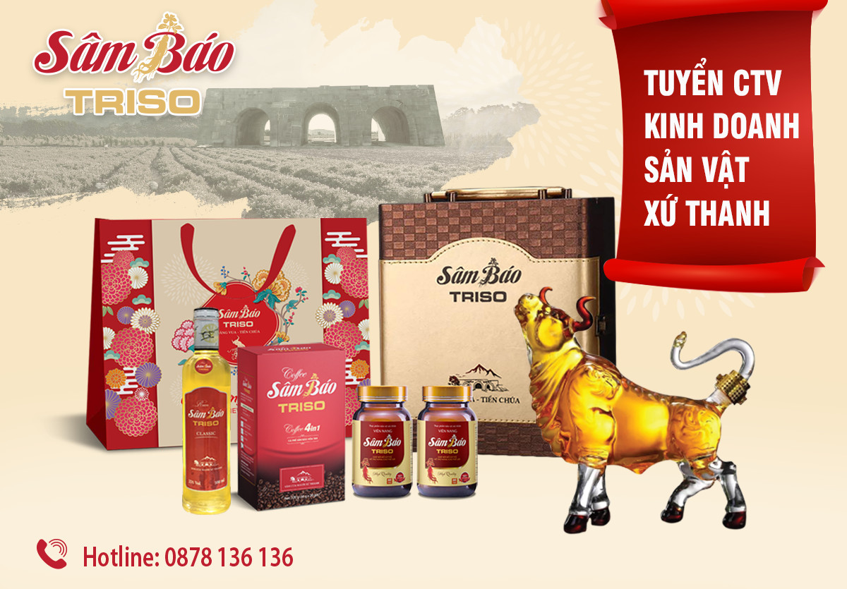 Sâm Báo Triso tuyển CTV Kinh doanh sản vật xứ Thanh
