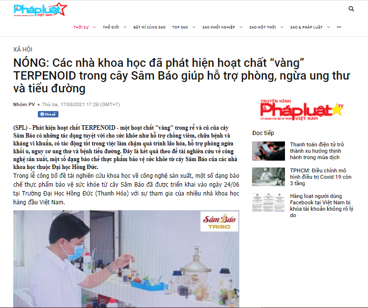 Báo Sao Pháp Luật đưa tin về sự kiện phát hiện hoạt chất Terpenoid trong cây Sâm Báo