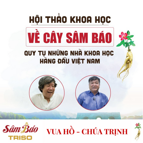 Hội thảo khoa học Sâm Báo: Quy tụ những nhà khoa học hàng đầu Việt Nam