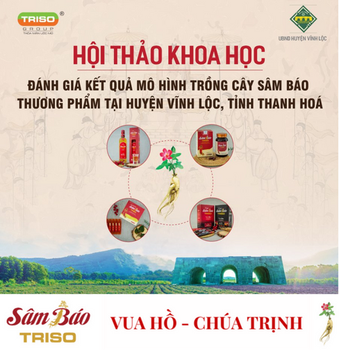 Hội thảo Khoa học đánh giá kết quả mô hình trồng cây Sâm Báo thương phẩm tại Vĩnh lộc - Thanh Hóa