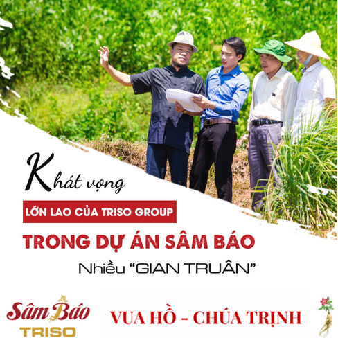 KHÁT VỌNG LỚN LAO CỦA TRISO GROUP KHI THAM GIA DỰ ÁN KHÔI PHỤC SÂM BÁO NHIỀU "GIAN TRUÂN"
