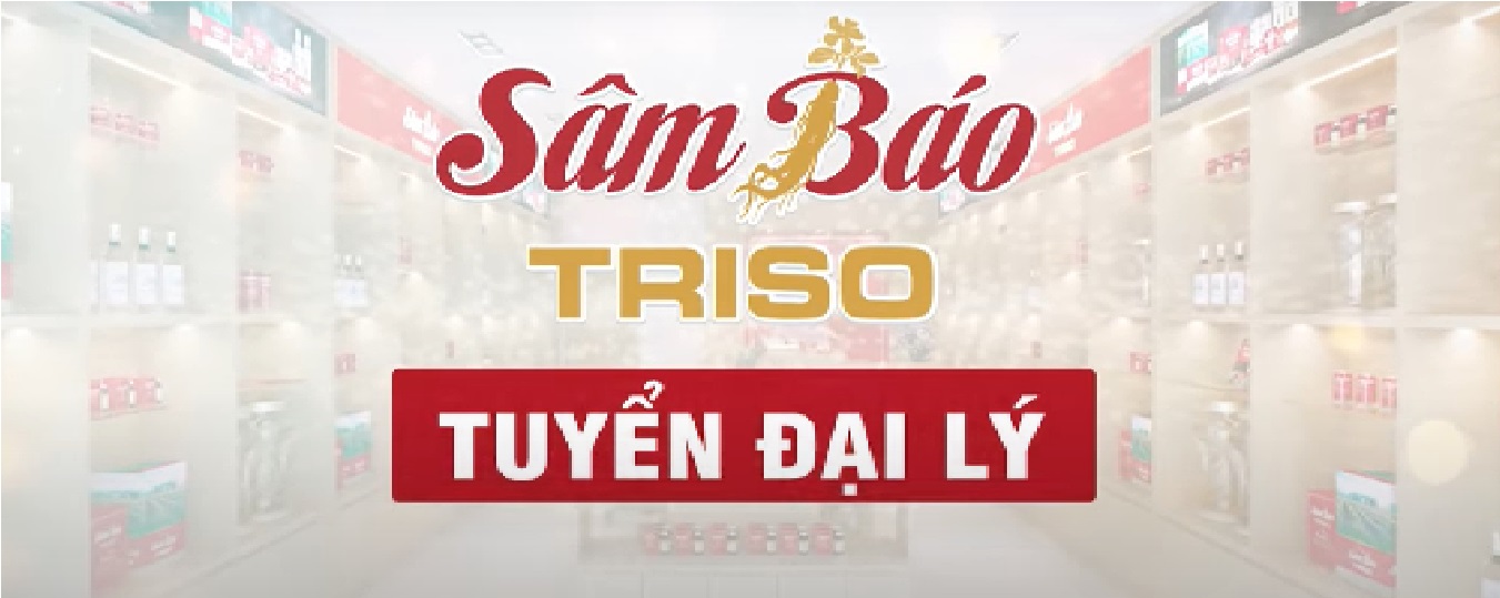 Sâm Báo Triso mời cộng tác
