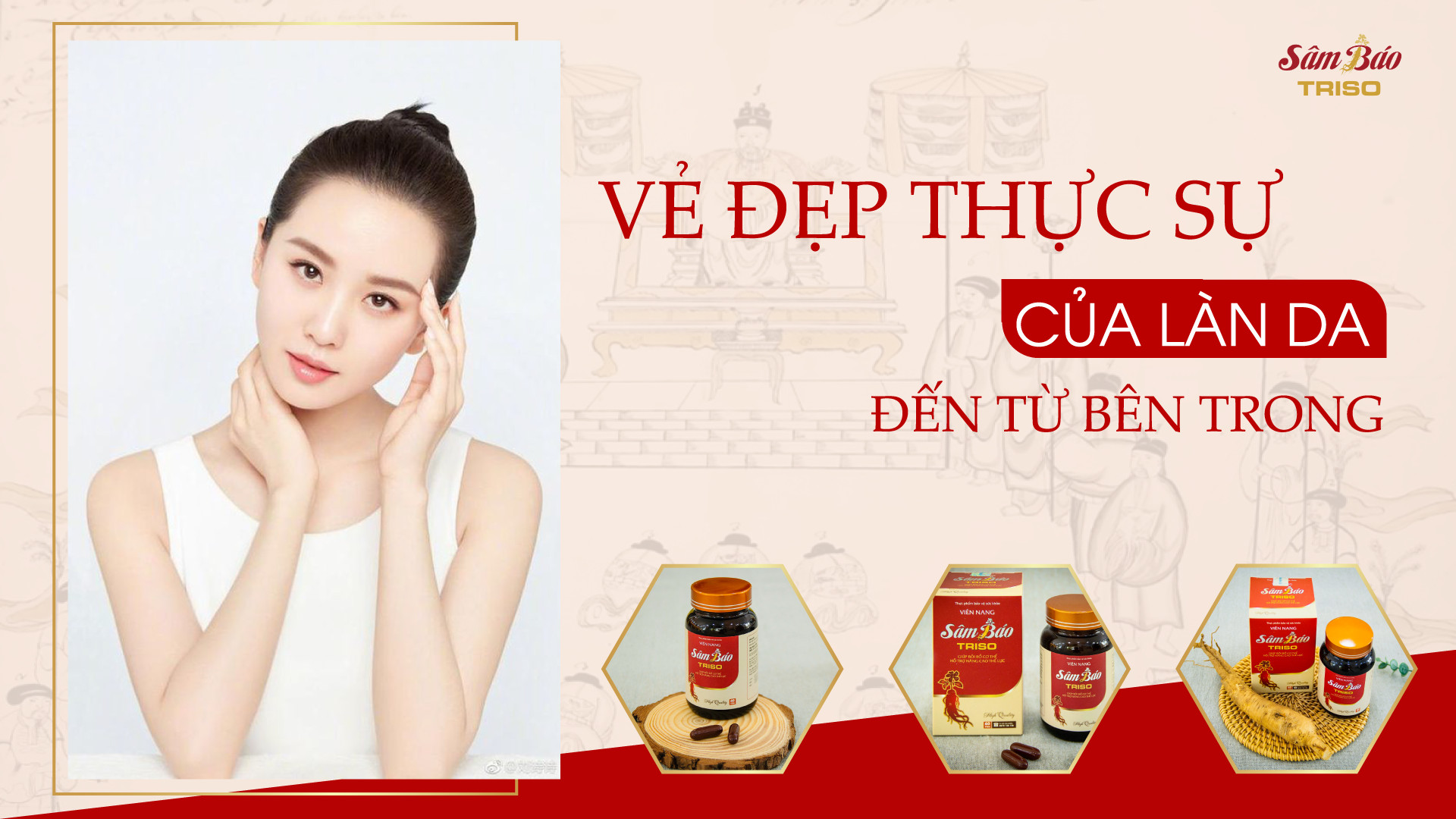 Phát hiện hoạt chất "vàng "Terpenoid trong Sâm Báo hỗ trợ ngăn ngừa ung thư