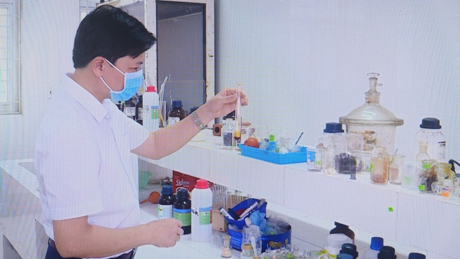 Phát hiện hoạt chất Terpenoid - hỗ trợ phòng ngừa ung thư, điều trị tiểu đường trong cây Sâm Báo