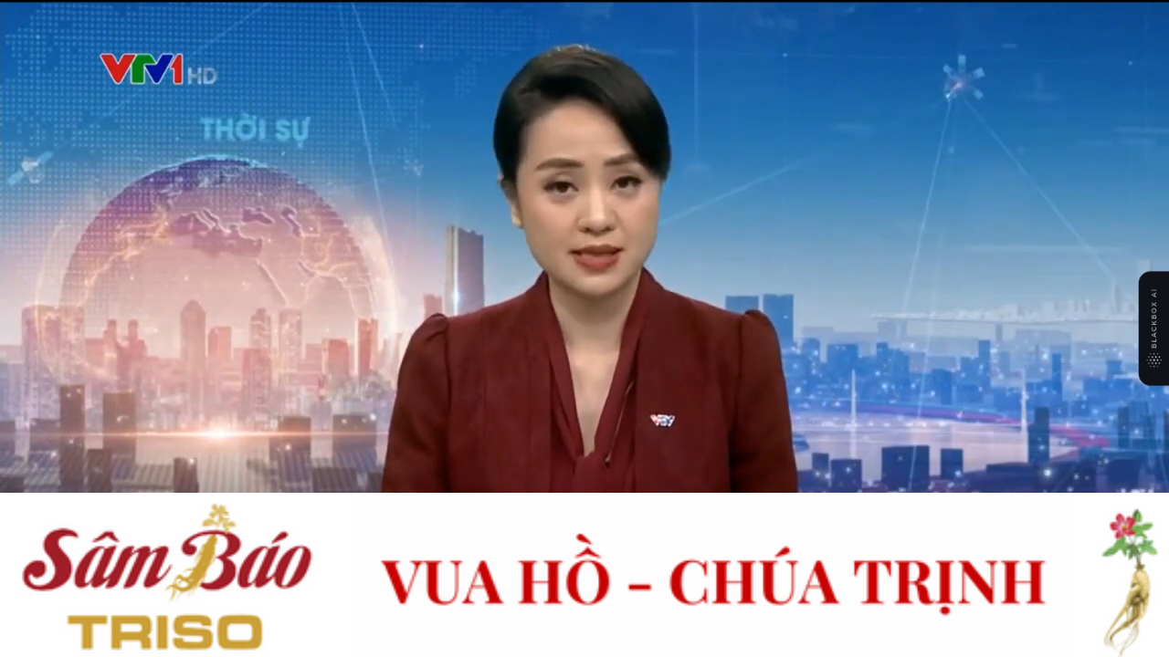 Đài Truyền Hình Quốc Gia VTV1 đưa tin về cây Sâm Báo - loài sâm quý từng dâng Vua tiến Chúa