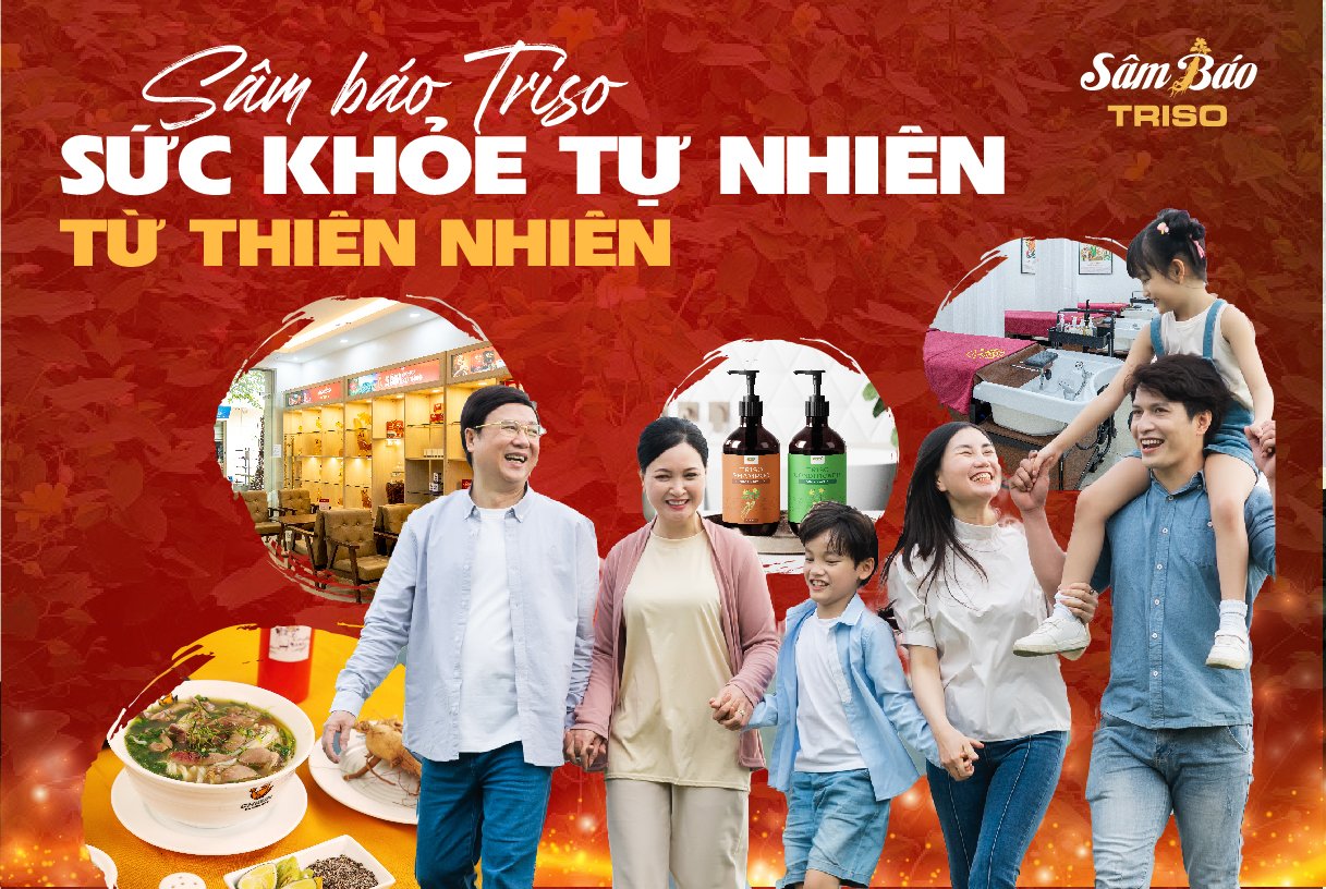 Sâm báo Triso- Dự án cho sức khỏe tiêu dùng